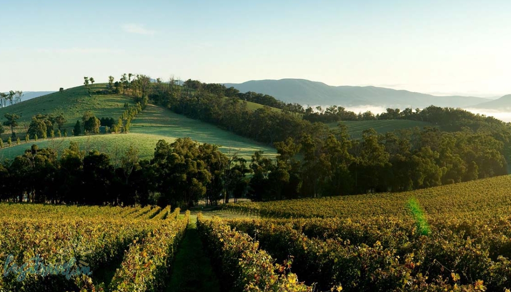 yarra valley